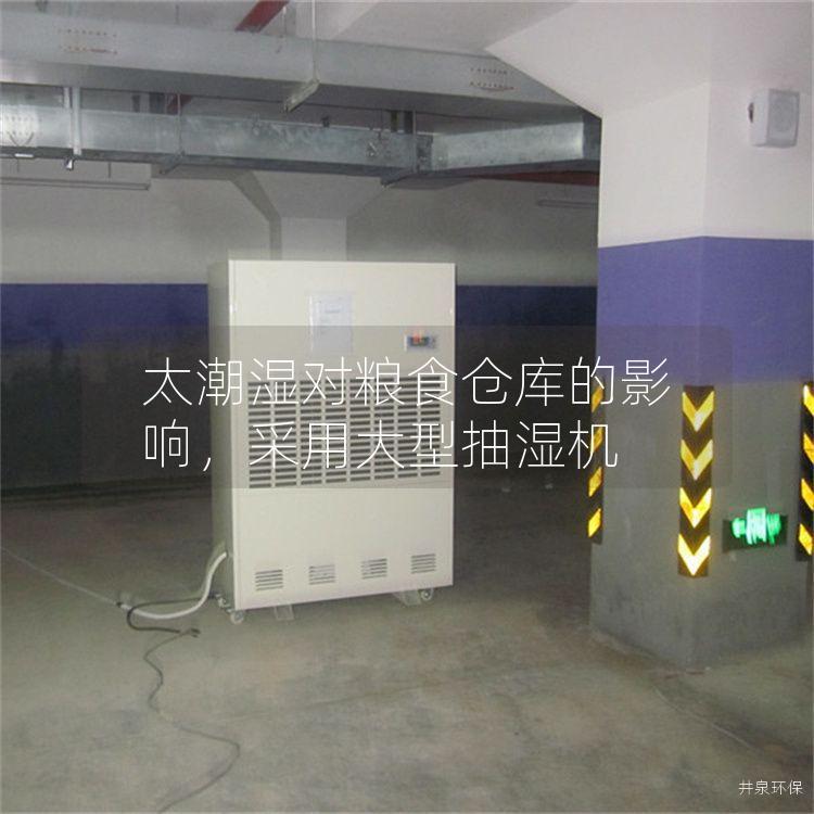 太潮湿对粮食仓库的影响,采用大型抽湿机