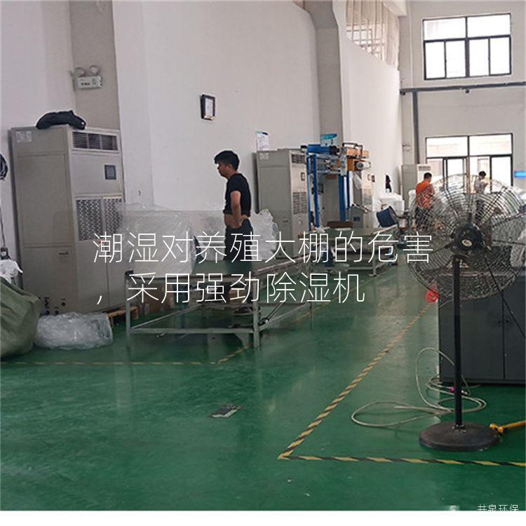 潮湿对养殖大棚的危害,采用强劲除湿机