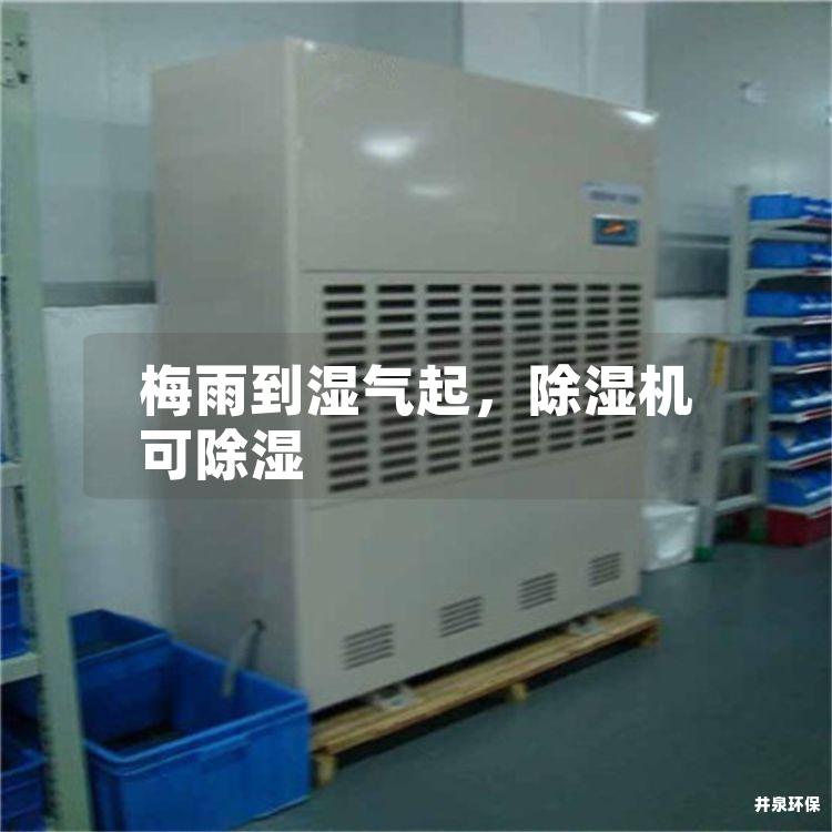 梅雨到湿气起，除湿机可除湿