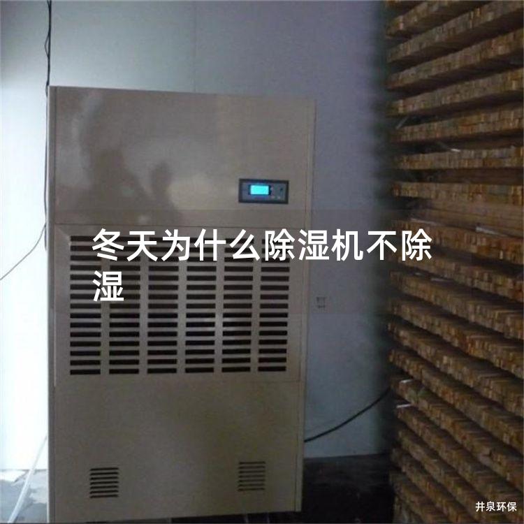 冬天为什么除湿机不除湿