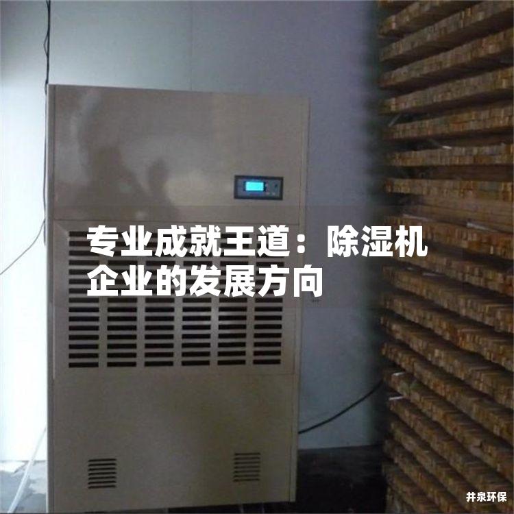 专业成就王道:除湿机企业的发展方向