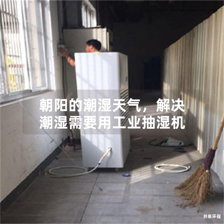 朝阳的潮湿天气，解决潮湿需要用工业抽湿机