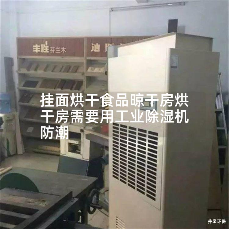 挂面烘干食品晾干房烘干房需要用工业除湿机防潮