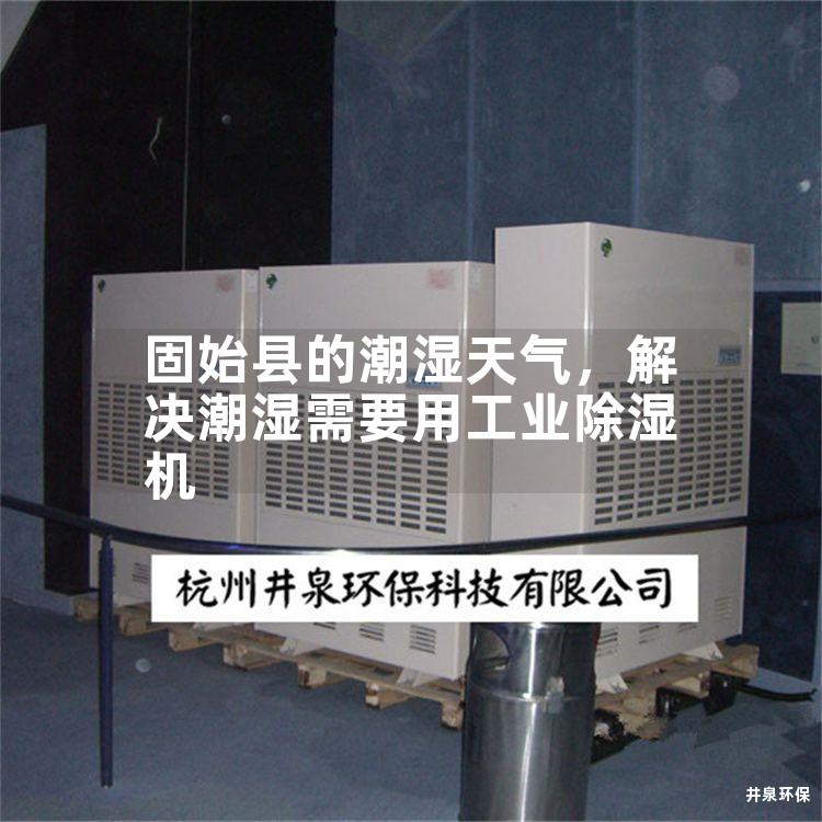 固始县的潮湿天气，解决潮湿需要用工业除湿机