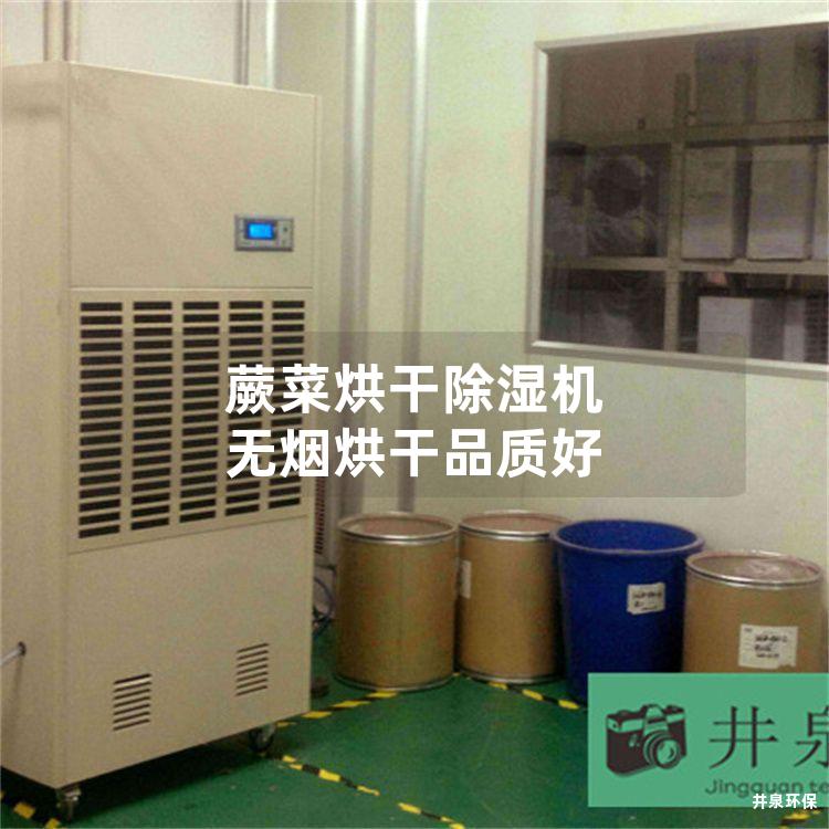 蕨菜烘干除湿机 无烟烘干品质好