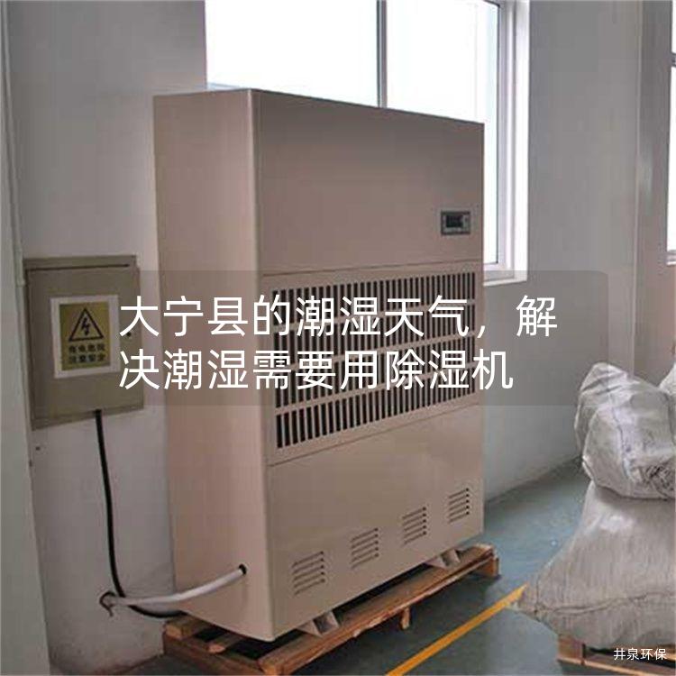 大宁县的潮湿天气,解决潮湿需要用除湿机
