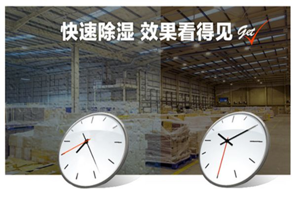 如何选择适合别墅的除湿设备来解决潮湿问题？