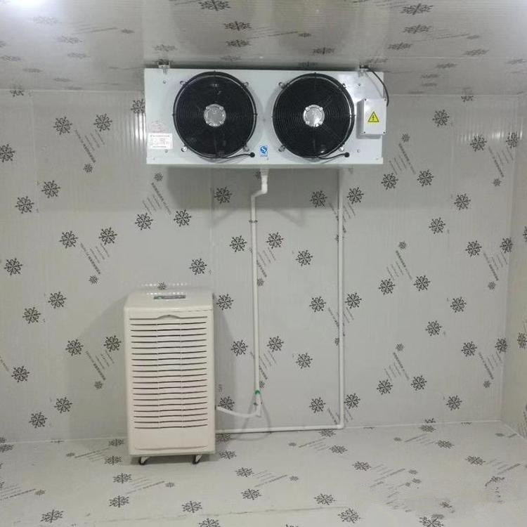 揭秘工业电控房：如何高效除湿保障设备安全