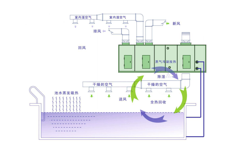 1591579919651081.png image.png